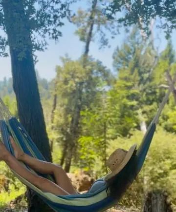 A hammock strung between trees in the woods
