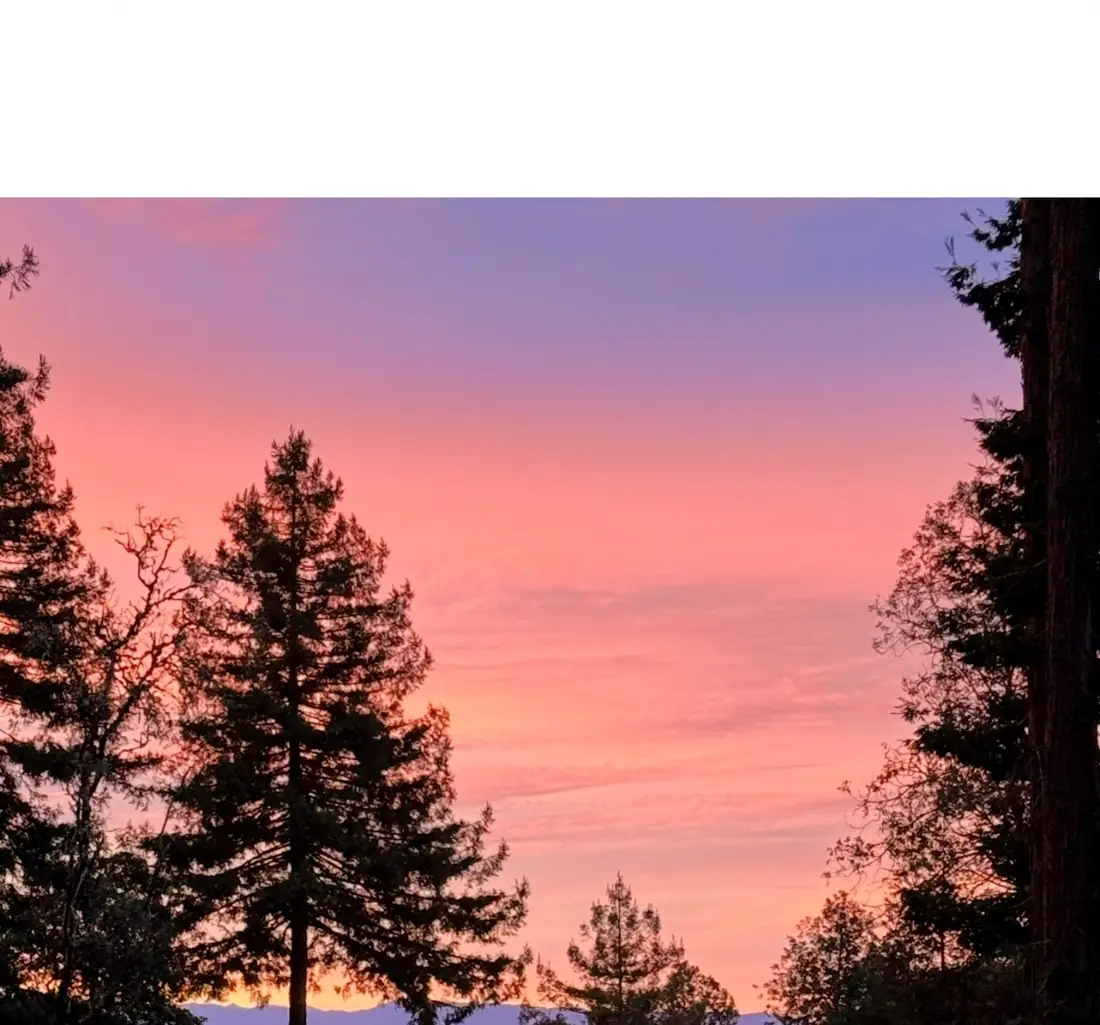 On the land at Regenerative by Nature